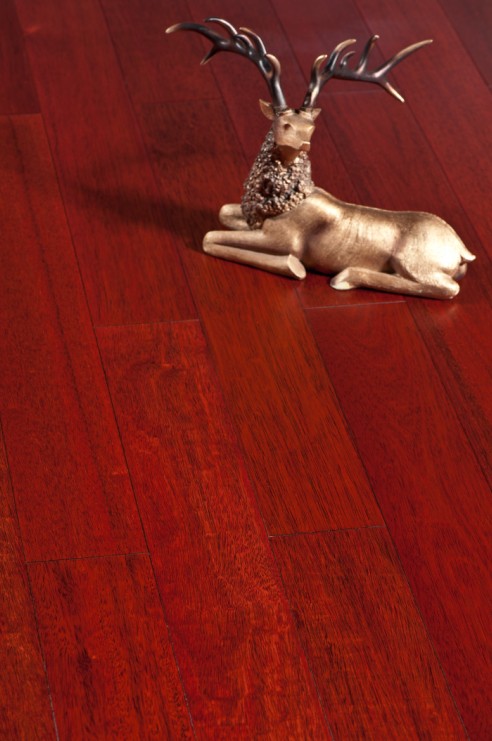 Merbau flooring