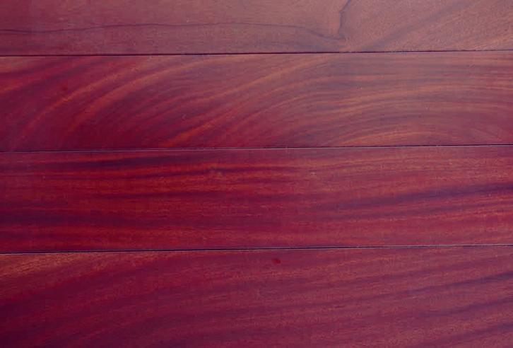 African Mahogany